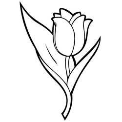 Dibujo Tulipán (Naturaleza y Estaciones) #174121 para imprimir y colorear