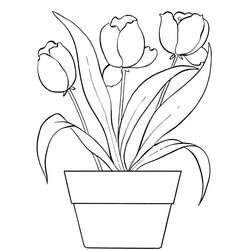 Dibujo Tulipán (Naturaleza y Estaciones) #174122 para imprimir y colorear