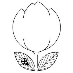 Dibujo Tulipán (Naturaleza y Estaciones) #174129 para imprimir y colorear