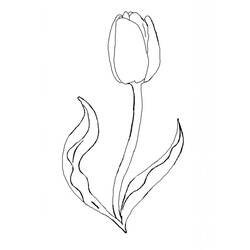 Dibujo Tulipán (Naturaleza y Estaciones) #174138 para imprimir y colorear