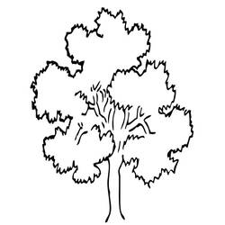 Dibujo para colorear: Árbol (Naturaleza) #154701 - Dibujos para Colorear e Imprimir Gratis