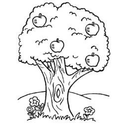 Dibujo para colorear: Árbol (Naturaleza) #154702 - Dibujos para colorear
