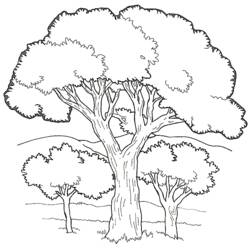 Dibujo para colorear: Árbol (Naturaleza) #154733 - Dibujos para colorear