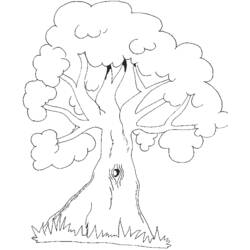 Dibujo para colorear: Árbol (Naturaleza) #154736 - Dibujos para colorear