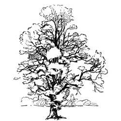 Dibujo para colorear: Árbol (Naturaleza) #154743 - Dibujos para Colorear e Imprimir Gratis