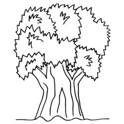 Dibujo para colorear: Árbol (Naturaleza) #154749 - Dibujos para Colorear e Imprimir Gratis