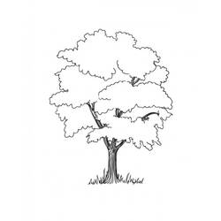 Dibujo para colorear: Árbol (Naturaleza) #154760 - Dibujos para colorear