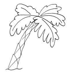 Dibujo para colorear: Árbol (Naturaleza) #154770 - Dibujos para Colorear e Imprimir Gratis