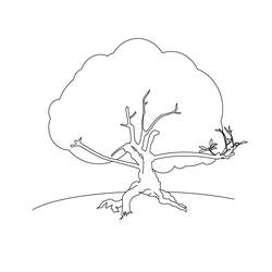 Dibujo para colorear: Árbol (Naturaleza) #154774 - Dibujos para Colorear e Imprimir Gratis