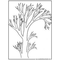 Dibujo para colorear: Árbol (Naturaleza) #154788 - Dibujos para Colorear e Imprimir Gratis