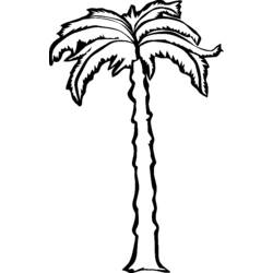 Dibujo para colorear: Árbol (Naturaleza) #154796 - Dibujos para Colorear e Imprimir Gratis