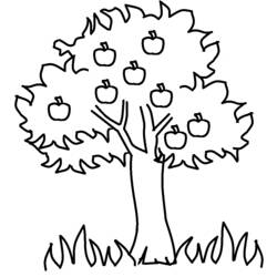 Dibujo para colorear: Árbol (Naturaleza) #154799 - Dibujos para Colorear e Imprimir Gratis