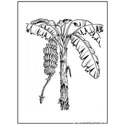 Dibujo para colorear: Árbol (Naturaleza) #154838 - Dibujos para Colorear e Imprimir Gratis