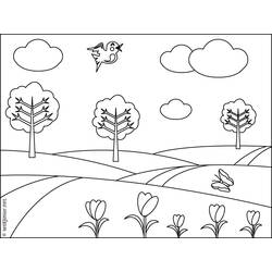 Dibujo para colorear: Árbol (Naturaleza) #154849 - Dibujos para Colorear e Imprimir Gratis