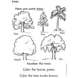 Dibujo para colorear: Árbol (Naturaleza) #154914 - Dibujos para Colorear e Imprimir Gratis