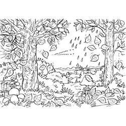 Dibujo para colorear: Bosque (Naturaleza) #157074 - Dibujos para colorear