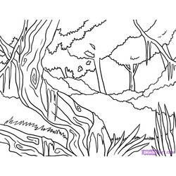 Dibujo para colorear: Bosque (Naturaleza) #157202 - Dibujos para colorear