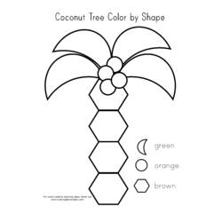 Dibujo para colorear: Cocotero (Naturaleza) #162374 - Dibujos para colorear