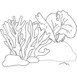 Dibujo para colorear: Coral (Naturaleza) #162779 - Dibujos para colorear