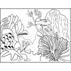 Dibujo para colorear: Coral (Naturaleza) #162899 - Dibujos para colorear