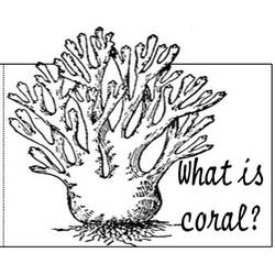 Dibujo para colorear: Coral (Naturaleza) #162907 - Dibujos para Colorear e Imprimir Gratis