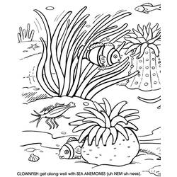 Dibujo para colorear: Coral (Naturaleza) #162920 - Dibujos para colorear