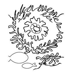 Dibujo para colorear: Coral (Naturaleza) #162934 - Dibujos para Colorear e Imprimir Gratis