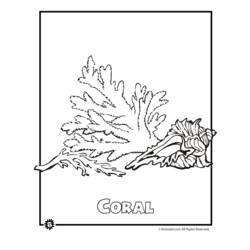 Dibujo para colorear: Coral (Naturaleza) #162945 - Dibujos para Colorear e Imprimir Gratis