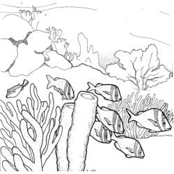 Dibujo para colorear: Coral (Naturaleza) #162958 - Dibujos para colorear