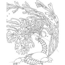 Dibujo para colorear: Coral (Naturaleza) #162973 - Dibujos para Colorear e Imprimir Gratis