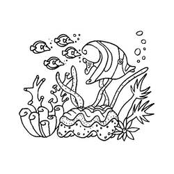Dibujo para colorear: Coral (Naturaleza) #162991 - Dibujos para colorear