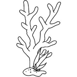 Dibujo para colorear: Coral (Naturaleza) #162999 - Dibujos para colorear