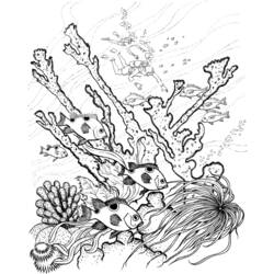 Dibujo para colorear: Coral (Naturaleza) #163012 - Dibujos para Colorear e Imprimir Gratis