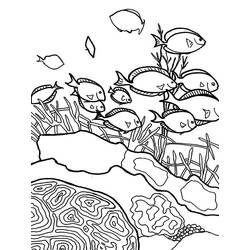 Dibujo para colorear: Coral (Naturaleza) #163085 - Dibujos para Colorear e Imprimir Gratis