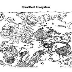 Dibujo para colorear: Coral (Naturaleza) #163088 - Dibujos para colorear
