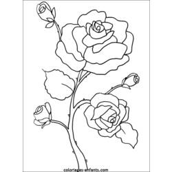 Dibujo para colorear: Flores (Naturaleza) #154967 - Dibujos para colorear
