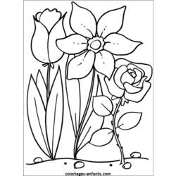 Dibujo para colorear: Flores (Naturaleza) #154975 - Dibujos para colorear