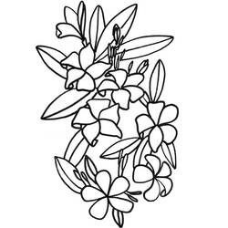Dibujo para colorear: Flores (Naturaleza) #154984 - Dibujos para Colorear e Imprimir Gratis