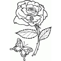 Dibujo para colorear: Flores (Naturaleza) #154996 - Dibujos para Colorear e Imprimir Gratis