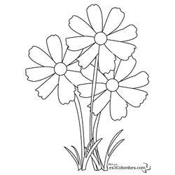 Dibujo para colorear: Flores (Naturaleza) #155003 - Dibujos para colorear