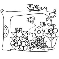 Dibujo para colorear: Flores (Naturaleza) #155013 - Dibujos para Colorear e Imprimir Gratis