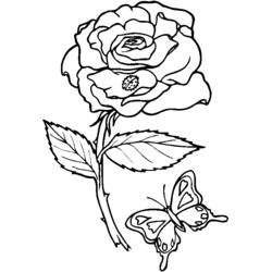 Dibujo para colorear: Flores (Naturaleza) #155018 - Dibujos para Colorear e Imprimir Gratis