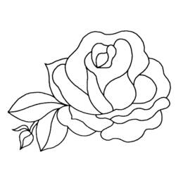 Dibujo para colorear: Flores (Naturaleza) #155039 - Dibujos para Colorear e Imprimir Gratis