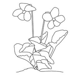 Dibujo para colorear: Flores (Naturaleza) #155045 - Dibujos para Colorear e Imprimir Gratis