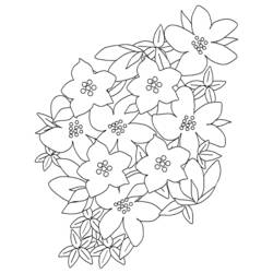 Dibujo para colorear: Flores (Naturaleza) #155063 - Dibujos para Colorear e Imprimir Gratis