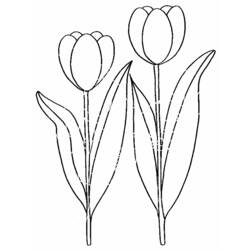 Dibujo para colorear: Flores (Naturaleza) #155080 - Dibujos para Colorear e Imprimir Gratis