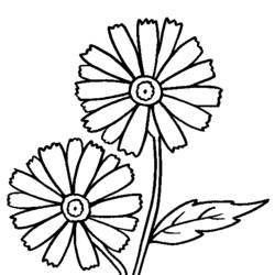 Dibujo para colorear: Flores (Naturaleza) #155083 - Dibujos para Colorear e Imprimir Gratis