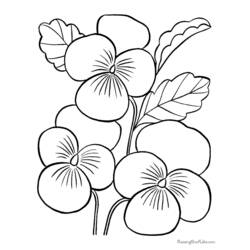 Dibujo para colorear: Flores (Naturaleza) #155085 - Dibujos para colorear