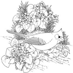 Dibujo para colorear: Flores (Naturaleza) #155090 - Dibujos para Colorear e Imprimir Gratis