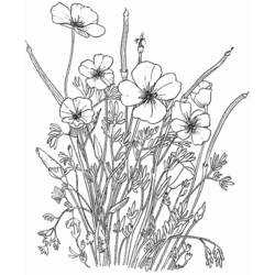 Dibujo para colorear: Flores (Naturaleza) #155094 - Dibujos para Colorear e Imprimir Gratis